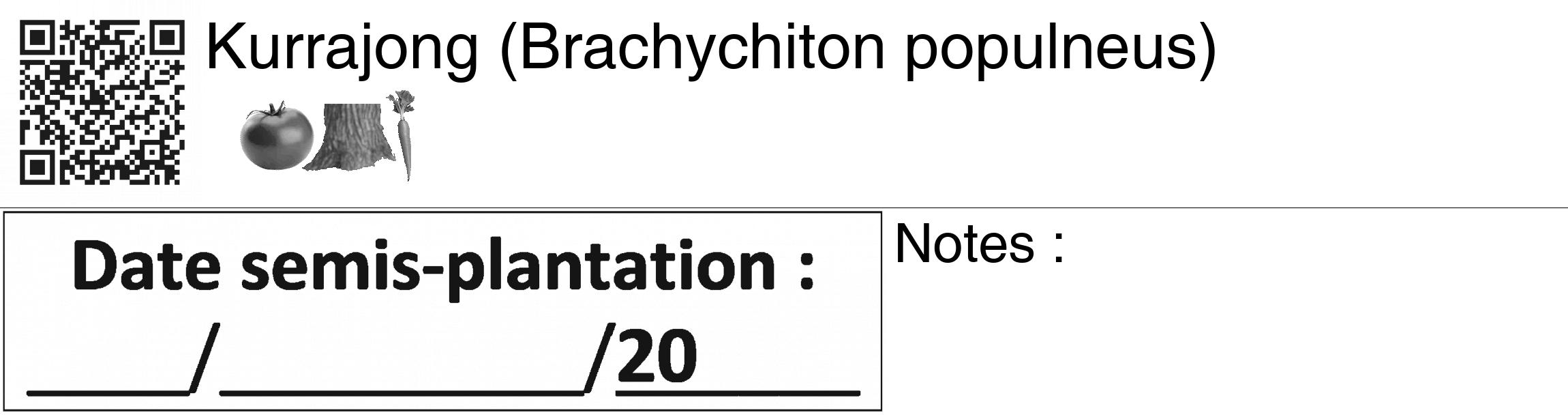 Étiquette de : Brachychiton populneus - format c - style noire60_basiquegrrvhel avec qrcode et comestibilité simplifiée