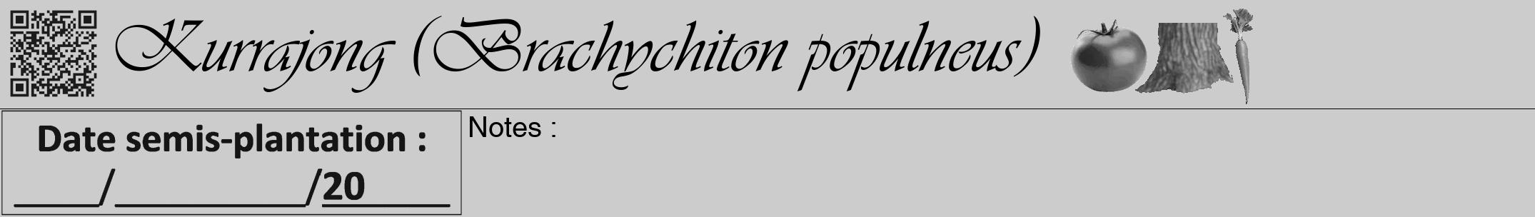 Étiquette de : Brachychiton populneus - format a - style noire0viv avec qrcode et comestibilité simplifiée