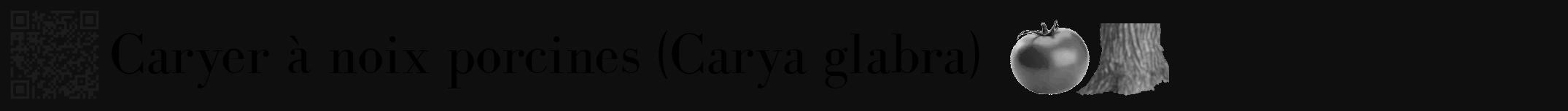 Étiquette de : Carya glabra - format a - style noire7bod avec qrcode et comestibilité simplifiée