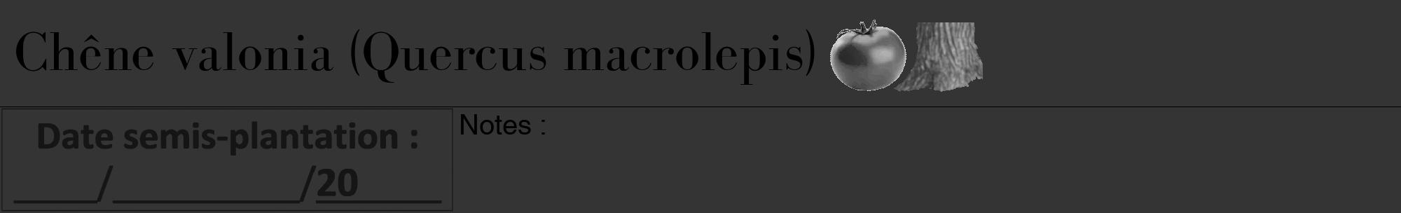 Étiquette de : Quercus macrolepis - format a - style noire46bod avec comestibilité simplifiée