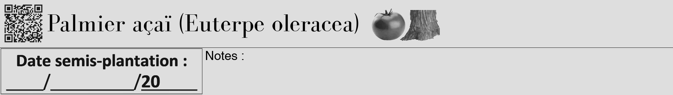 Étiquette de : Euterpe oleracea - format a - style noire20bod avec qrcode et comestibilité simplifiée