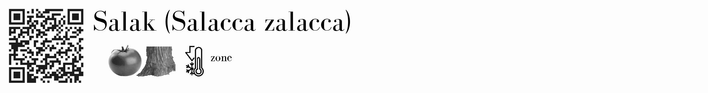 Étiquette de : Salacca zalacca - format c - style noire19_basique_basiquebod avec qrcode et comestibilité simplifiée