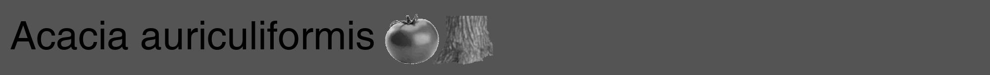 Étiquette de : Acacia auriculiformis - format a - style noire36hel avec comestibilité simplifiée