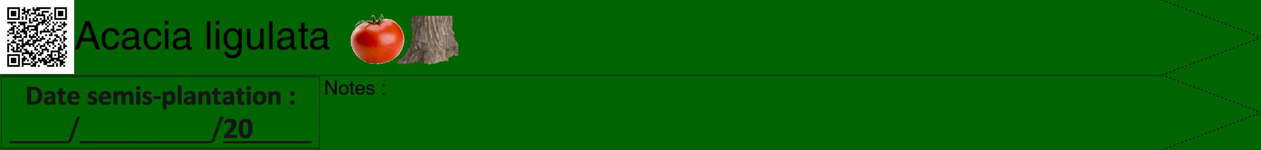 Étiquette de : Acacia ligulata - format b - style noire8hel avec qrcode et comestibilité simplifiée