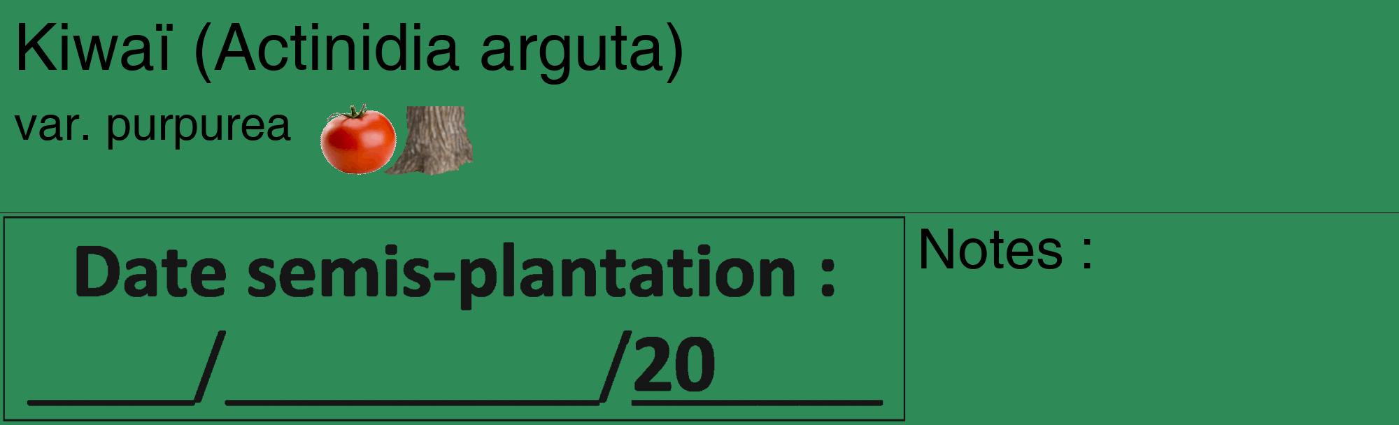 Étiquette de : Actinidia arguta var. purpurea - format c - style noire11_basique_basiquehel avec comestibilité simplifiée