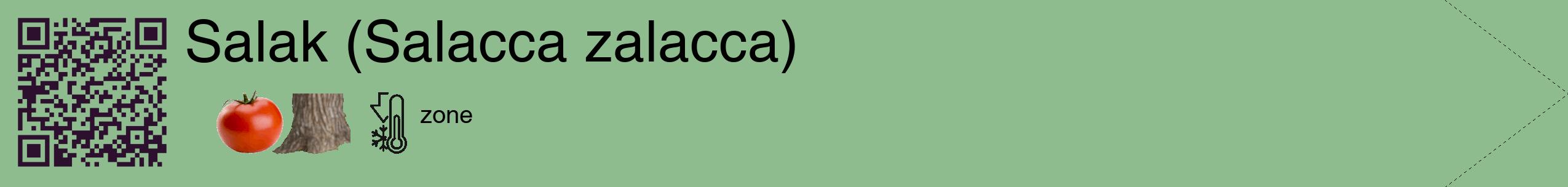 Étiquette de : Salacca zalacca - format c - style noire13_simple_simplehel avec qrcode et comestibilité simplifiée