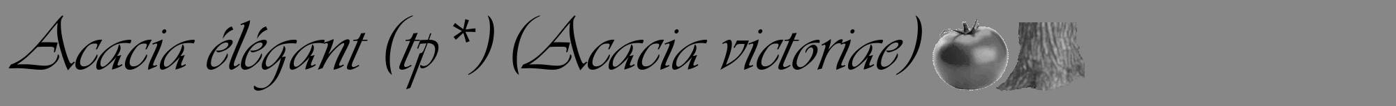Étiquette de : Acacia victoriae - format a - style noire12viv avec comestibilité simplifiée
