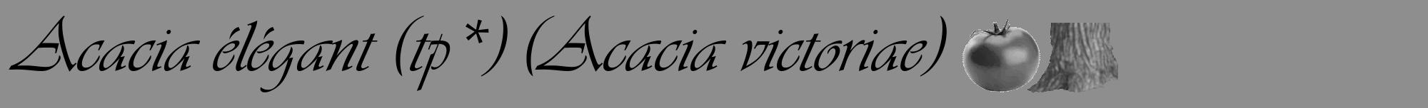 Étiquette de : Acacia victoriae - format a - style noire25viv avec comestibilité simplifiée