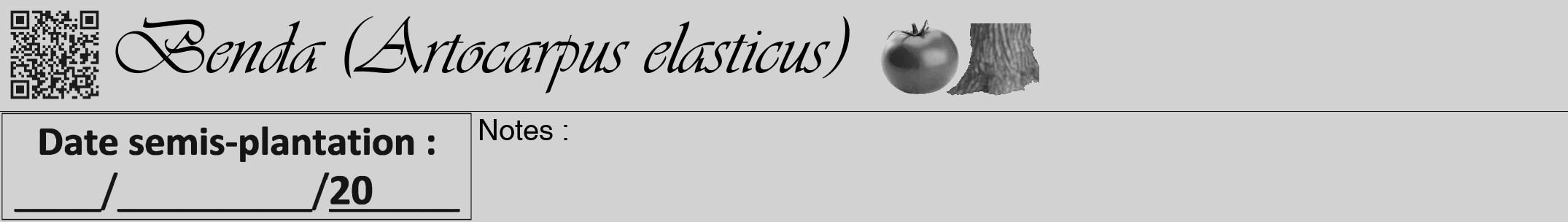 Étiquette de : Artocarpus elasticus - format a - style noire14viv avec qrcode et comestibilité simplifiée
