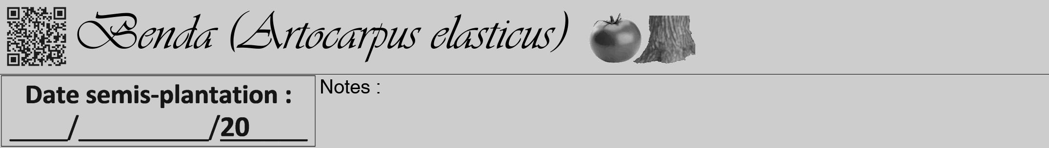 Étiquette de : Artocarpus elasticus - format a - style noire41viv avec qrcode et comestibilité simplifiée