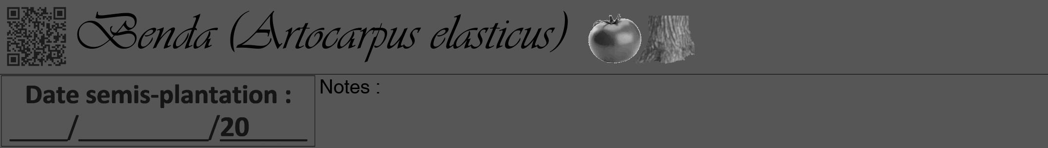 Étiquette de : Artocarpus elasticus - format a - style noire45viv avec qrcode et comestibilité simplifiée