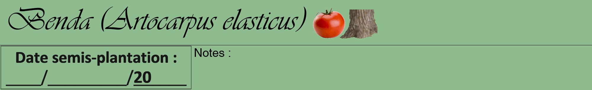 Étiquette de : Artocarpus elasticus - format a - style noire13viv avec comestibilité simplifiée