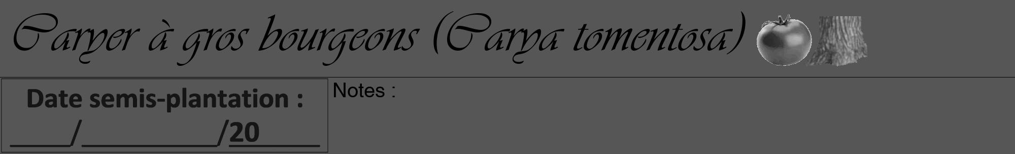 Étiquette de : Carya tomentosa - format a - style noire45viv avec comestibilité simplifiée