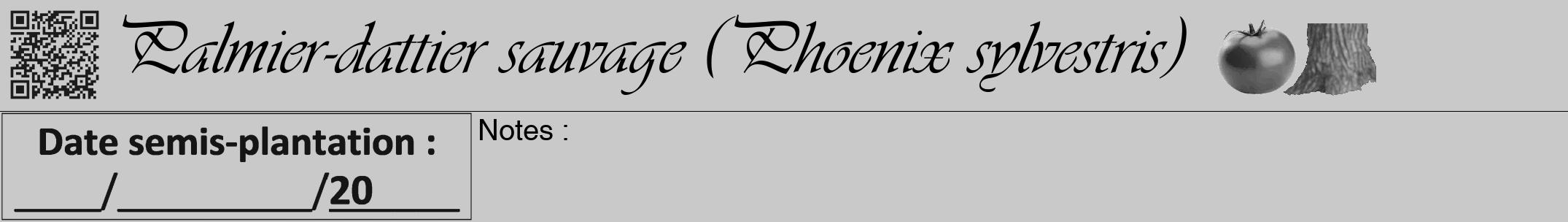 Étiquette de : Phoenix sylvestris - format a - style noire54simpleviv avec qrcode et comestibilité simplifiée