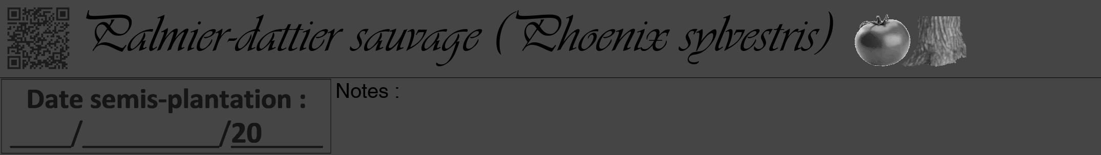 Étiquette de : Phoenix sylvestris - format a - style noire58viv avec qrcode et comestibilité simplifiée