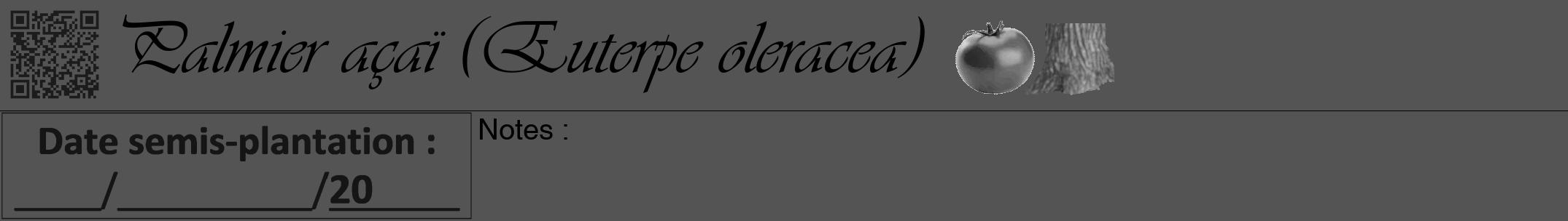 Étiquette de : Euterpe oleracea - format a - style noire30simpleviv avec qrcode et comestibilité simplifiée