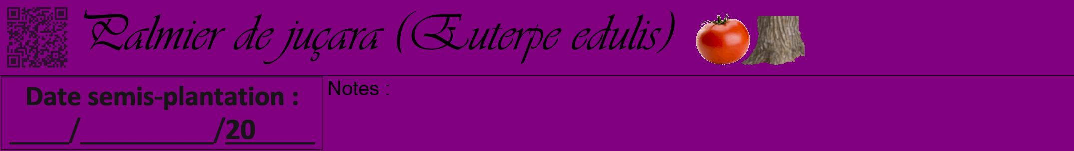 Étiquette de : Euterpe edulis - format a - style noire46viv avec qrcode et comestibilité simplifiée