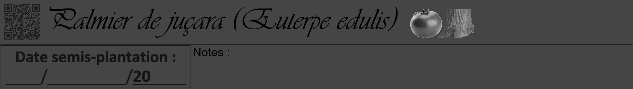 Étiquette de : Euterpe edulis - format a - style noire58viv avec qrcode et comestibilité simplifiée