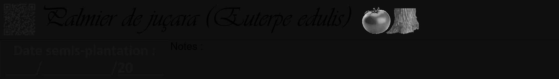 Étiquette de : Euterpe edulis - format a - style noire7viv avec qrcode et comestibilité simplifiée