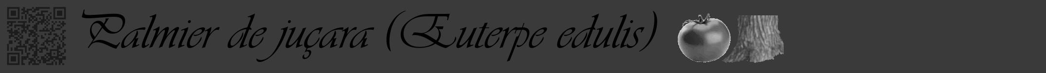 Étiquette de : Euterpe edulis - format a - style noire8viv avec qrcode et comestibilité simplifiée