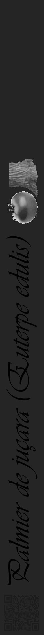 Étiquette de : Euterpe edulis - format a - style noire47viv avec qrcode et comestibilité simplifiée - position verticale