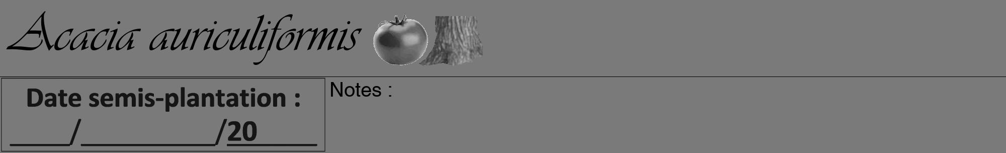 Étiquette de : Acacia auriculiformis - format a - style noire3viv avec comestibilité simplifiée