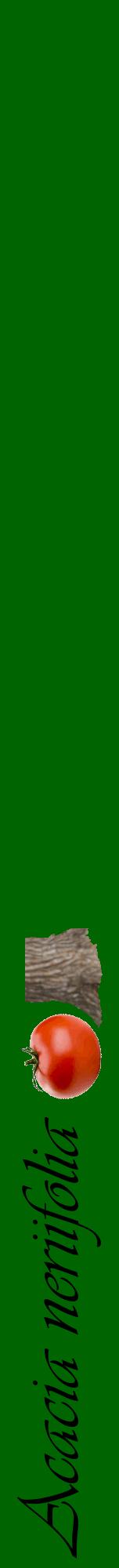 Étiquette de : Acacia neriifolia - format a - style noire8viv avec comestibilité simplifiée