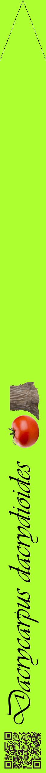 Étiquette de : Dacrycarpus dacrydioides - format b - style noire17viv avec qrcode et comestibilité simplifiée