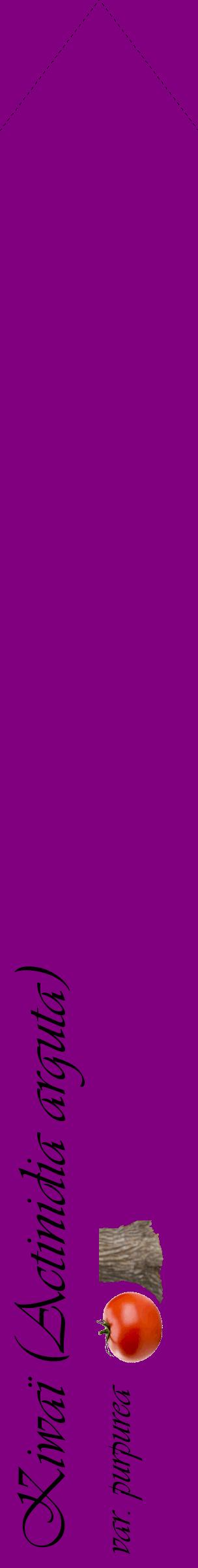 Étiquette de : Actinidia arguta var. purpurea - format c - style noire46_simpleviv avec comestibilité simplifiée