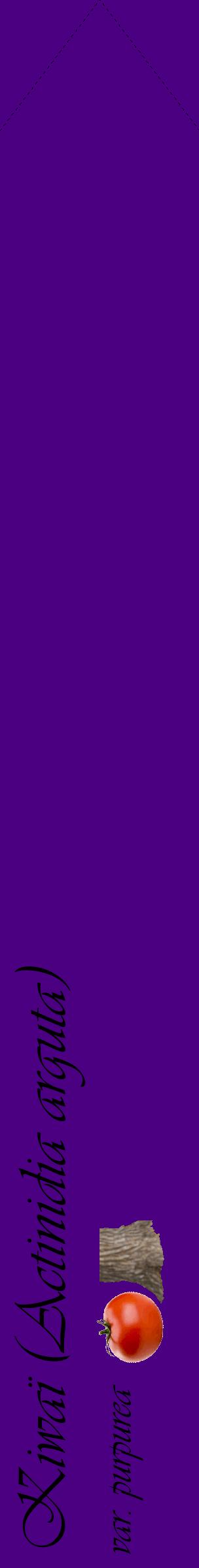 Étiquette de : Actinidia arguta var. purpurea - format c - style noire47_simpleviv avec comestibilité simplifiée