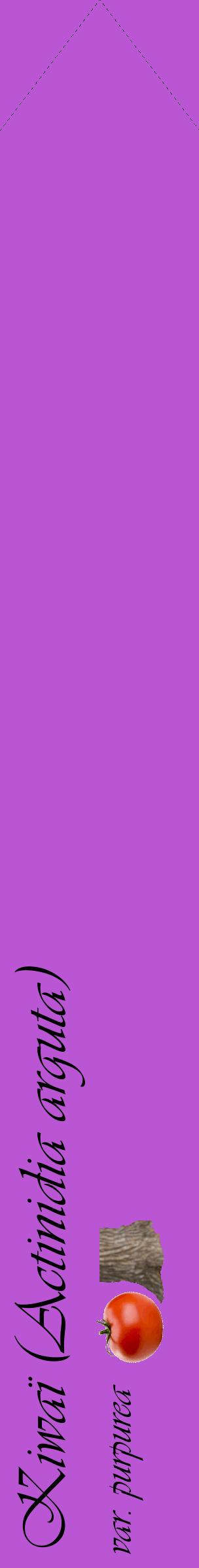 Étiquette de : Actinidia arguta var. purpurea - format c - style noire50_simpleviv avec comestibilité simplifiée