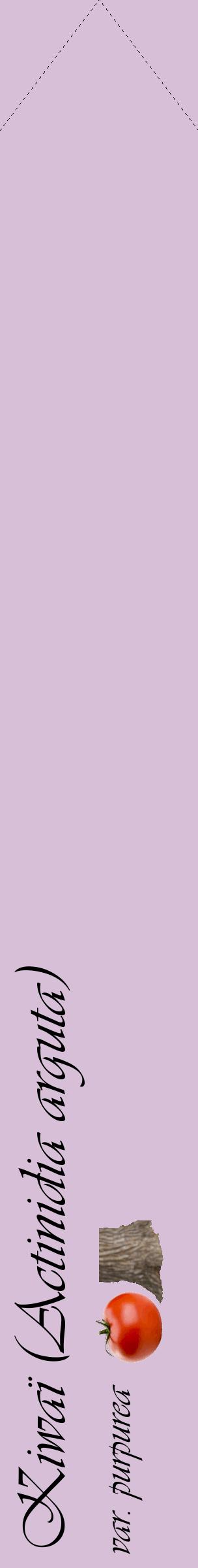 Étiquette de : Actinidia arguta var. purpurea - format c - style noire54_simpleviv avec comestibilité simplifiée