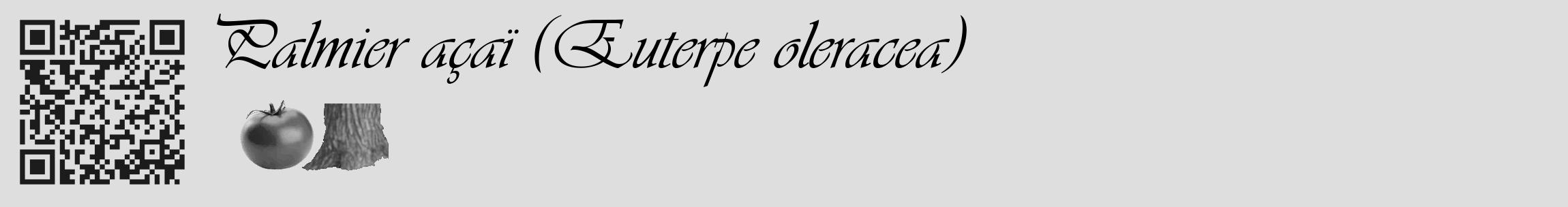 Étiquette de : Euterpe oleracea - format c - style noire20_basique_basiqueviv avec qrcode et comestibilité simplifiée