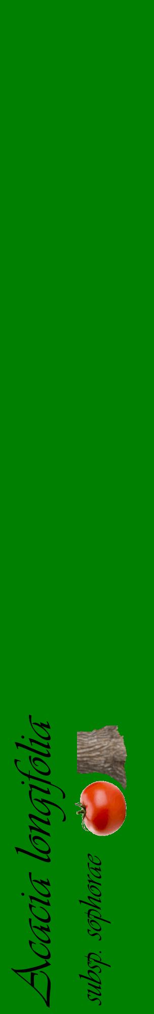 Étiquette de : Acacia longifolia subsp. sophorae - format c - style noire9_basiqueviv avec comestibilité simplifiée