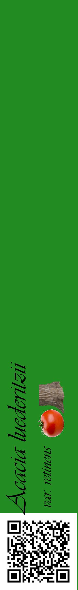 Étiquette de : Acacia luederitzii var. retinens - format c - style noire10_basiqueviv avec qrcode et comestibilité simplifiée