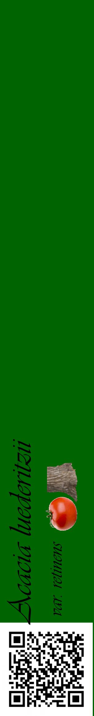Étiquette de : Acacia luederitzii var. retinens - format c - style noire8_basiqueviv avec qrcode et comestibilité simplifiée