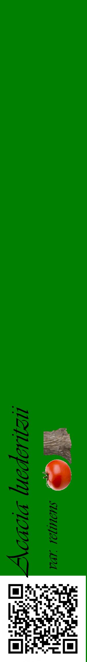 Étiquette de : Acacia luederitzii var. retinens - format c - style noire9_basiqueviv avec qrcode et comestibilité simplifiée