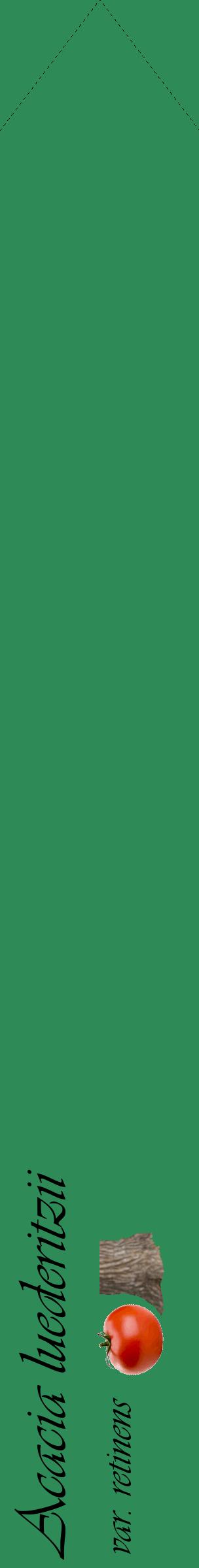 Étiquette de : Acacia luederitzii var. retinens - format c - style noire11_simpleviv avec comestibilité simplifiée