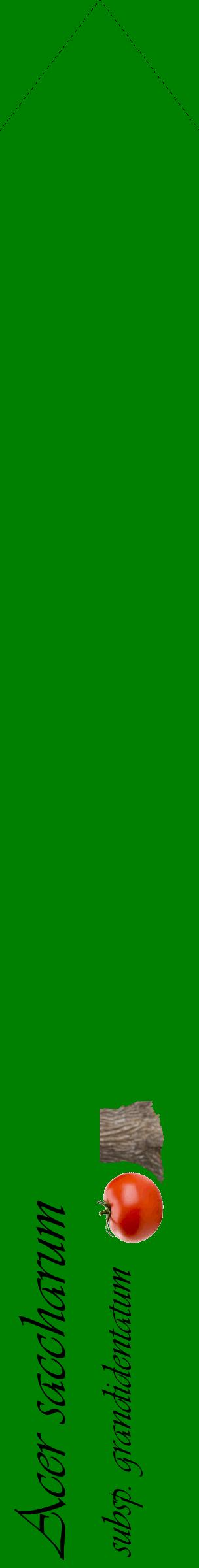 Étiquette de : Acer saccharum subsp. grandidentatum - format c - style noire9_simpleviv avec comestibilité simplifiée