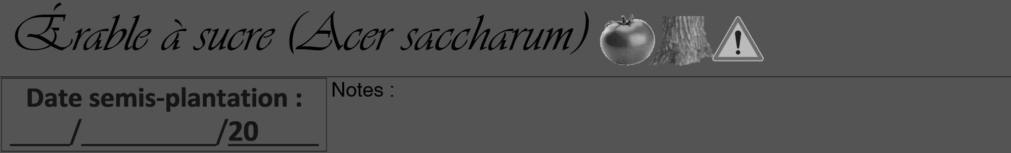 Étiquette de : Acer saccharum - format a - style noire30viv avec comestibilité simplifiée