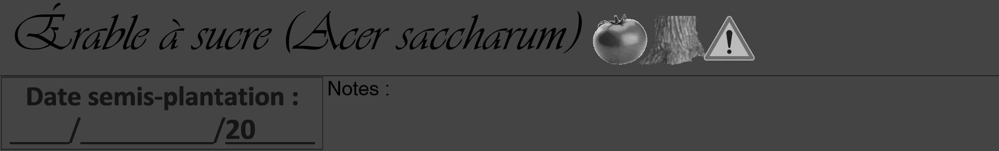 Étiquette de : Acer saccharum - format a - style noire48viv avec comestibilité simplifiée