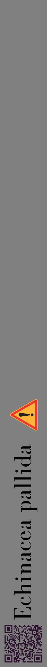 Étiquette de : Echinacea pallida - format a - style noire57bod avec qrcode et comestibilité simplifiée