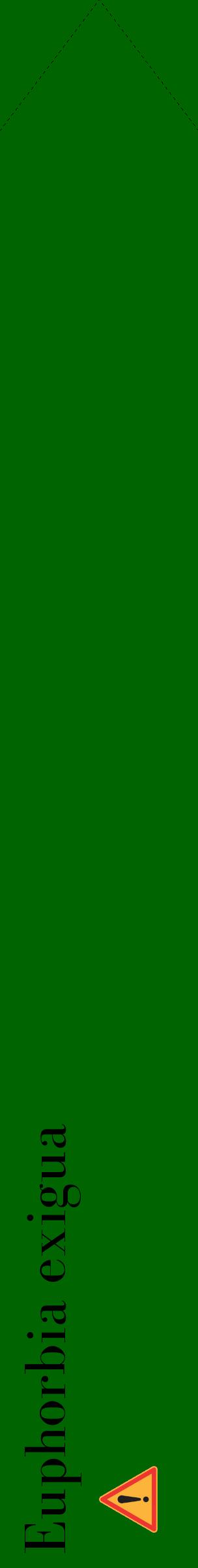 Étiquette de : Euphorbia exigua - format c - style noire8_simplebod avec comestibilité simplifiée