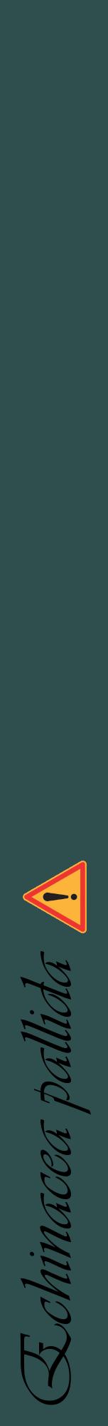 Étiquette de : Echinacea pallida - format a - style noire58viv avec comestibilité simplifiée