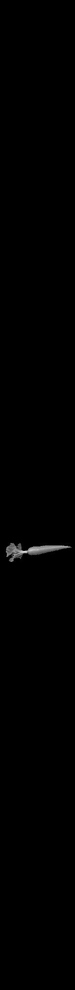 Étiquette de : Canna flaccida - format a - style noire59bod avec comestibilité simplifiée - position verticale