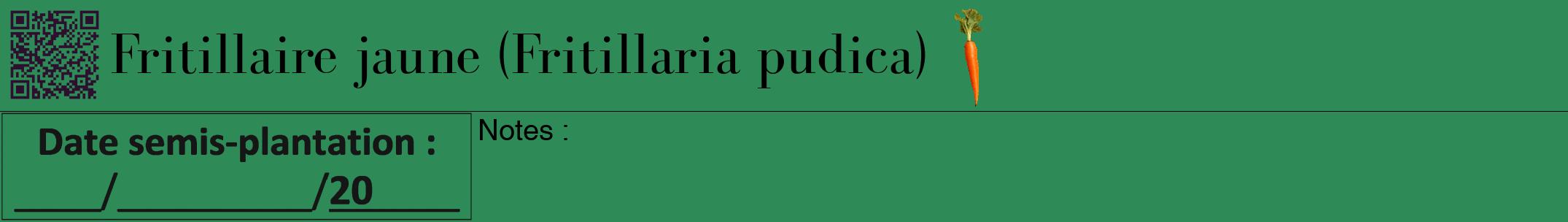 Étiquette de : Fritillaria pudica - format a - style noire11bod avec qrcode et comestibilité simplifiée