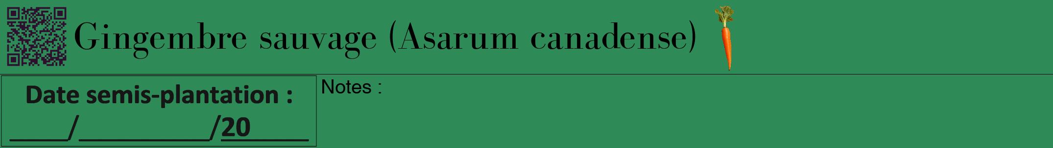 Étiquette de : Asarum canadense - format a - style noire11bod avec qrcode et comestibilité simplifiée
