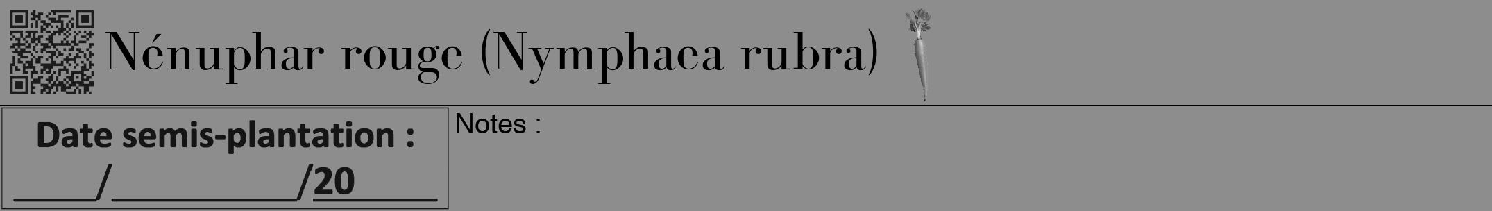 Étiquette de : Nymphaea rubra - format a - style noire2bod avec qrcode et comestibilité simplifiée