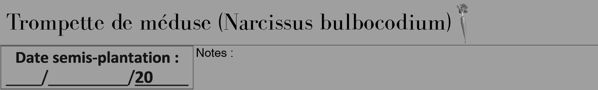 Étiquette de : Narcissus bulbocodium - format a - style noire24bod avec comestibilité simplifiée