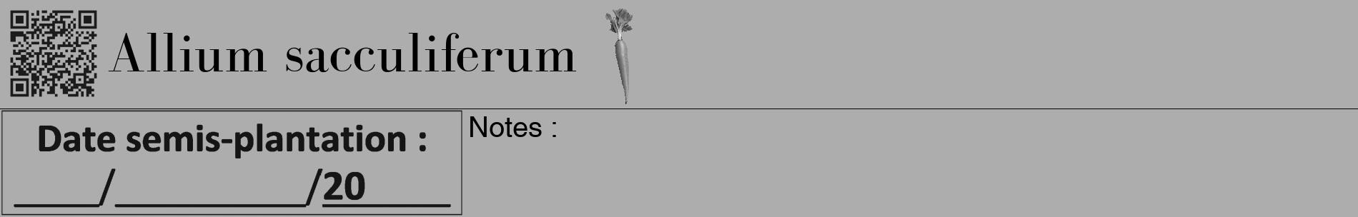 Étiquette de : Allium sacculiferum - format a - style noire22basiquebod avec qrcode et comestibilité simplifiée